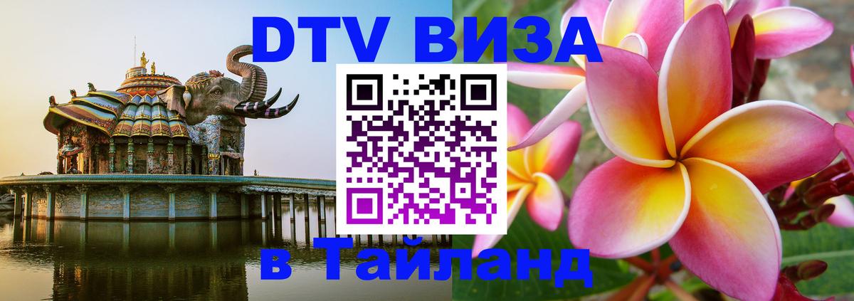 Оформление DTV визы под ключ: стоимость и тарифы, только загранпаспорт - 19.11.2025 